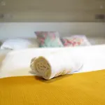بيت شباب Cats