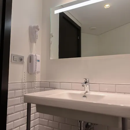 Cats 산세바스티안