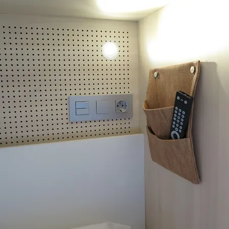 Cats 산세바스티안