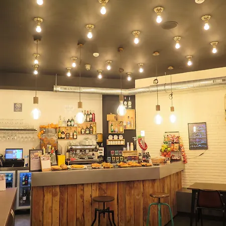 Cats * 산세바스티안