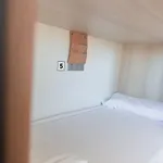 호스텔 Cats 산세바스티안