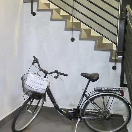 Cats 圣塞瓦斯蒂安