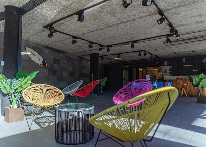 Cats * San Sebastián