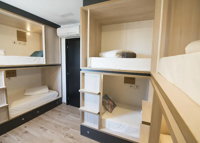 Cats Hostel San Sebastian