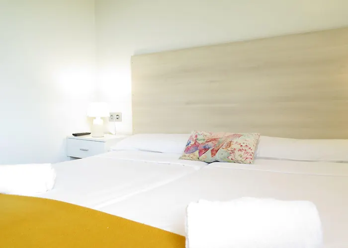 Cats * San Sebastián