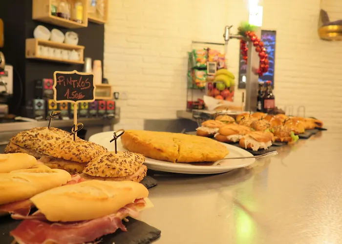 Cats * San Sebastián