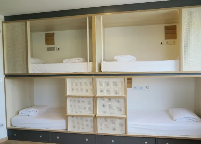 Cats Hostel San Sebastián