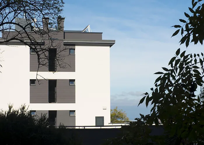 Cats * San Sebastián